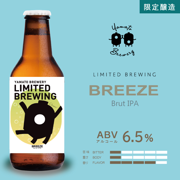 SOUR SUMMER HOUR with Lime Peel（フルーツサワーエール）　6本セット
